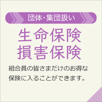 「生命保険 損害保険」組合員の皆さまだけのお得な保険に入ることができます。